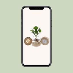 Clusia In Kingston Glas + LED (11327)