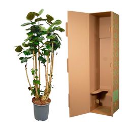 Polysicas Fabian XXL - 170 cm - ⌀30 (8721055693970)