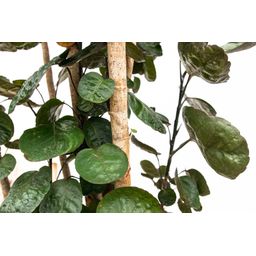 Polysicas Fabian XXL - 170 cm - ⌀30 (8721055693970)