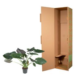 Alocasia Wentii - 120 cm - ø32 (8721055692041)