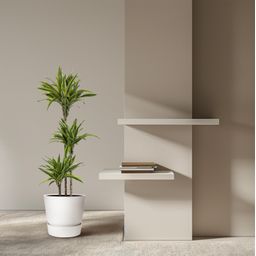 Dracaena Lemon Lime - 130 cm - ø24 (8721055692546)