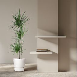 Dracaena Marginata - 160 cm - ø24 (8721055692621)