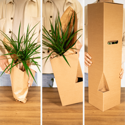 Verrassingsbox - - x5 (8720634287715)