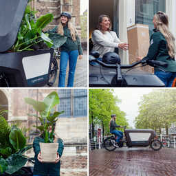 PROMO - Tuinkruiden Mix - 4 stuks (10344)
