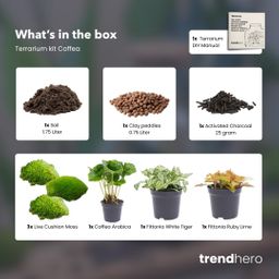 Planten terrarium pakket - Coffea Arabica - Navulling & Startpakket - DIY (8720872020563)