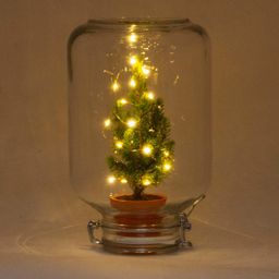 Easyplant - Christmas - Kerst decoratie (8720726958714)
