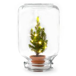 Easyplant - Christmas - Kerst decoratie (8720726958714)