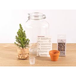 Easyplant - Christmas - Kerst decoratie (8720726958714)