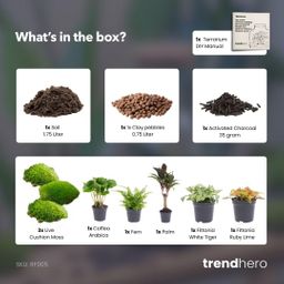 Planten terrarium navulling & startpakket - Jungle (8720872021171)