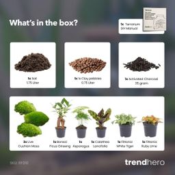 Planten terrarium navulling & Startpakket - 5 planten (8720872021614)