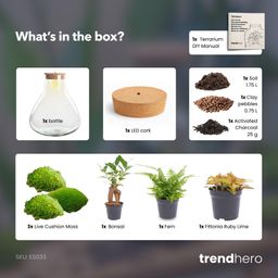 DIY planten terrarium met licht - Sam XL Bonsai - Ø 30 cm ↑ 32 cm (8720872022260)