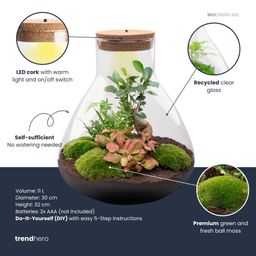 DIY planten terrarium met licht - Sam XL Bonsai - Ø 30 cm ↑ 32 cm (8720872022260)