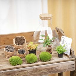 DIY planten terrarium met licht - Sam XL Bonsai - Ø 30 cm ↑ 32 cm (8720872022260)
