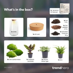 DIY Planten terrarium met licht - Sven XL Botanical - Ø 23 cm ↑ 43 cm - No tools (8720872020471)
