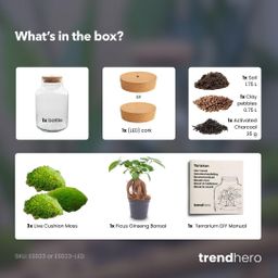 DIY Planten terrarium met licht - Milky Bonsai - Ø 21 cm ↑ 30 cm - No tools (8719327448670)