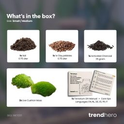 Planten terrarium navulling & startpakket - Maat S/M (8720872024509)