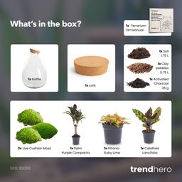 DIY Planten terrarium - Drop XL Palm - Ø 24 cm ↑ 37 cm - No tools (8720726958820)