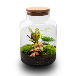 DIY Planten terrarium met licht - Milky - Ø 21 cm ↑ 30 cm - No tools (8719326972428)