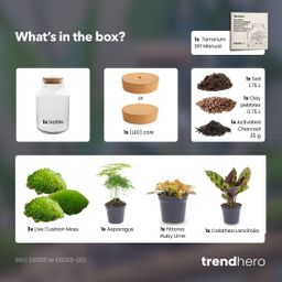 DIY Planten terrarium met licht - Milky - Ø 21 cm ↑ 30 cm - No tools (8719326972428)