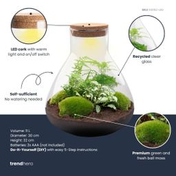 DIY Planten terrarium met licht - Sam XL Green - Ø 30 cm ↑ 32 cm - No tools (8719326972411)