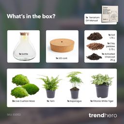 DIY Planten terrarium met licht - Sam XL Green - Ø 30 cm ↑ 32 cm - No tools (8719326972411)