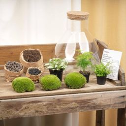 DIY Planten terrarium met licht - Sam XL Green - Ø 30 cm ↑ 32 cm - No tools (8719326972411)