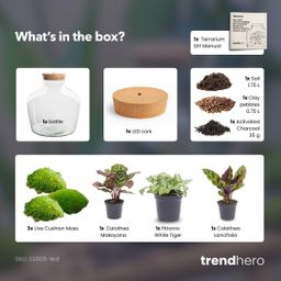 DIY Planten terrarium met licht - Fat Joe - Ø 29 cm ↑ 30 cm - No tools (8719326972442)