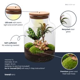 DIY Planten terrarium met licht - Milky Palm - Ø 21 cm ↑ 30 cm (8720872021065)