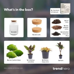 DIY Planten terrarium met licht - Milky Palm - Ø 21 cm ↑ 30 cm (8720872021065)