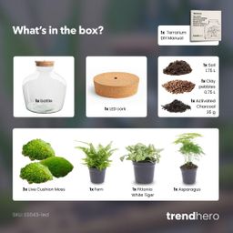 DIY Planten terrarium met licht - Fat Joe Green - Ø 29 cm ↑ 30 cm - No tools (8720726958639)