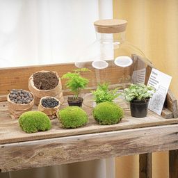 DIY Planten terrarium met licht - Fat Joe Green - Ø 29 cm ↑ 30 cm - No tools (8720726958639)