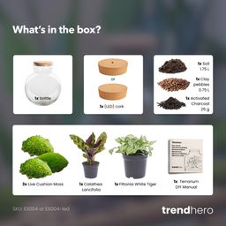 DIY Planten terrarium (met licht) - Teddy - Ø 25 cm ↑ 26,5 cm - No tools (8719327448649)