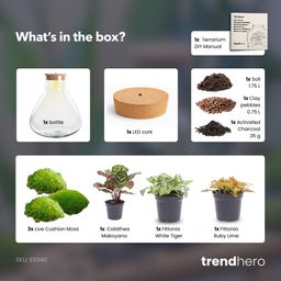 DIY Planten terrarium met licht - Sam XL Red - Ø 30 cm ↑ 32 cm - No tools (8720726958097)