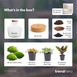 DIY Planten terrarium met licht - Fat Joe Red - Ø 29 cm ↑ 30 cm - No Tools (8720726958592)