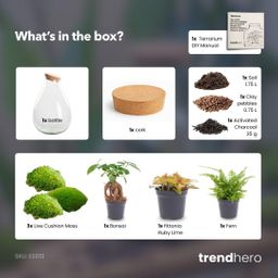 DIY Planten terrarium - Drop XL Bonsai 'red' - Ø 24 cm ↑ 37 cm - No tools (8719327448632)