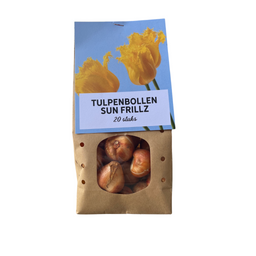Tulpenbollen Sun Frillz – 20 Stuks | KH Bloembollen® | Gele Tulp met Kartelrand – Zonnig, Uniek & Speels – Voor Tuin of Pot – Maat 11/12 – (08720256864622)