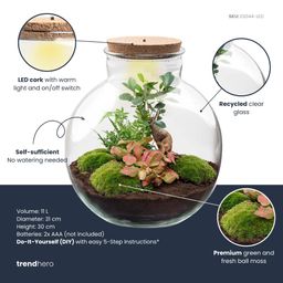 DIY Planten terrarium met licht - Bolder Bob Bonsai - Ø 31 cm ↑ 30 cm (8720872022994)