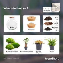 DIY Planten terrarium met licht - Bolder Bob Bonsai - Ø 31 cm ↑ 30 cm (8720872022994)