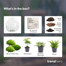 DIY Planten terrarium tweedelig bolglas - Dome XL -Ø 28 cm ↑ 28 cm - No tools (8719326972497)