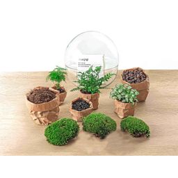 DIY Planten terrarium tweedelig bolglas - Dome XL -Ø 28 cm ↑ 28 cm - No tools (8719326972497)