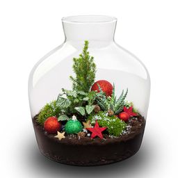 Holly Christmas terrarium - Bottle garden DIY kit - Ø 29 cm ↑ 30 (8720872025209)