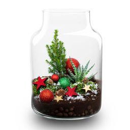 Frosty Kerstmis terrarium - Planten terrarium DIY kit Christmas - - Ø 17 cm ↑ 25 cm (8720872025223)