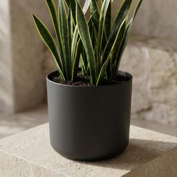 Elho B.for soft Antraciet (8711904233662)