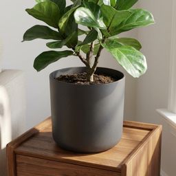 Elho B.for soft Antraciet (8711904233662)