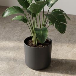 Elho B.for soft Antraciet (8711904233662)