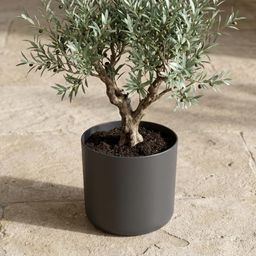 Elho B.for soft Antraciet (8711904233662)