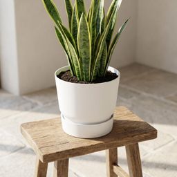 Elho greenville round white - D30cm (8711904338558)