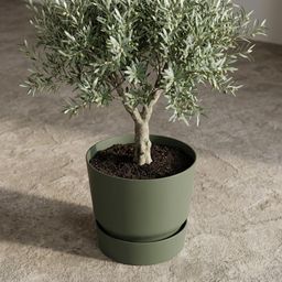 Elho greenville round leaf green - D25cm (8711904332433)