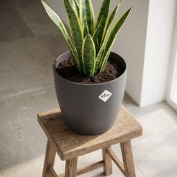 ELHO Brussels rond 25cm antraciet (8711904072377)