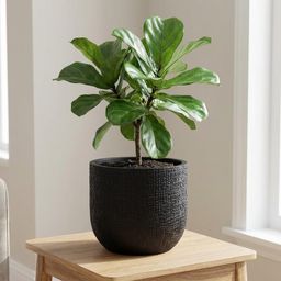 Capi europe Capi Nature Skin Pot Bol Antraciet - D17cm - H15cm (49972)